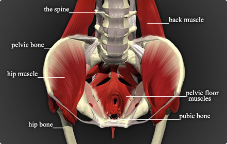 How to Treat Pelvic Floor Disfunction - ClickHowTo