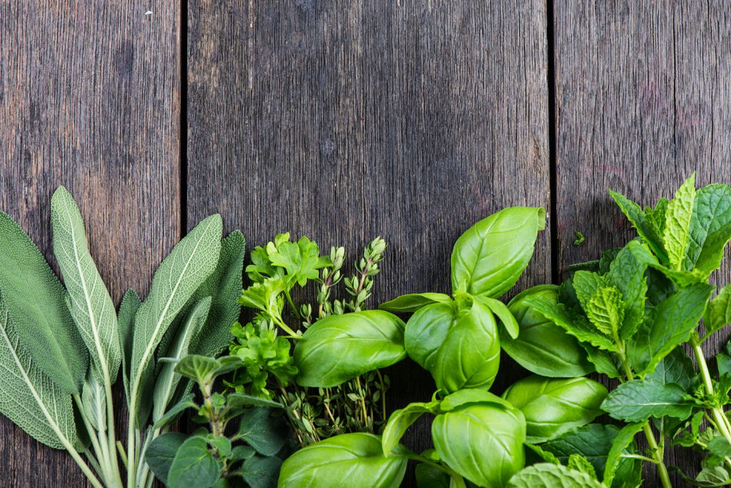 How to Grow Herbs and Spices Indoors ClickHowTo