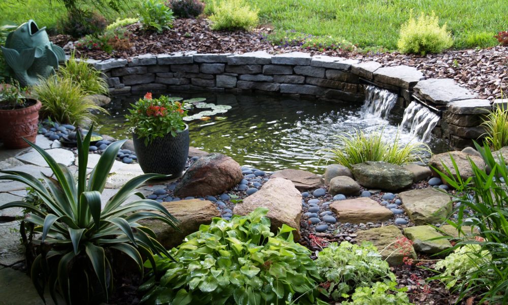 How To Build A Raised Pond In Your Garden Clickhowto